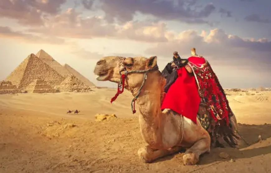 camel riding – pyramids area