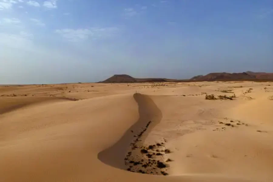 ENJOY AMAZING DESERT