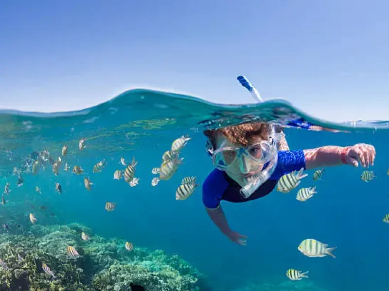 Red Sea Excursions 